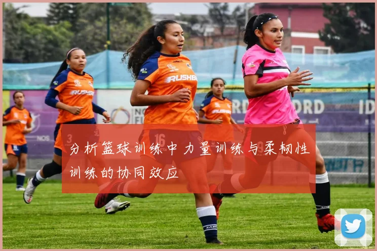 分析篮球训练中力量训练与柔韧性训练的协同效应